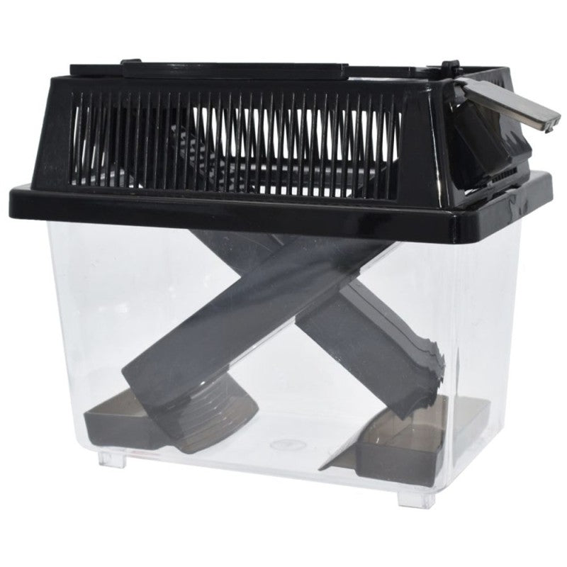 Komodo Cricket Keeper - Large