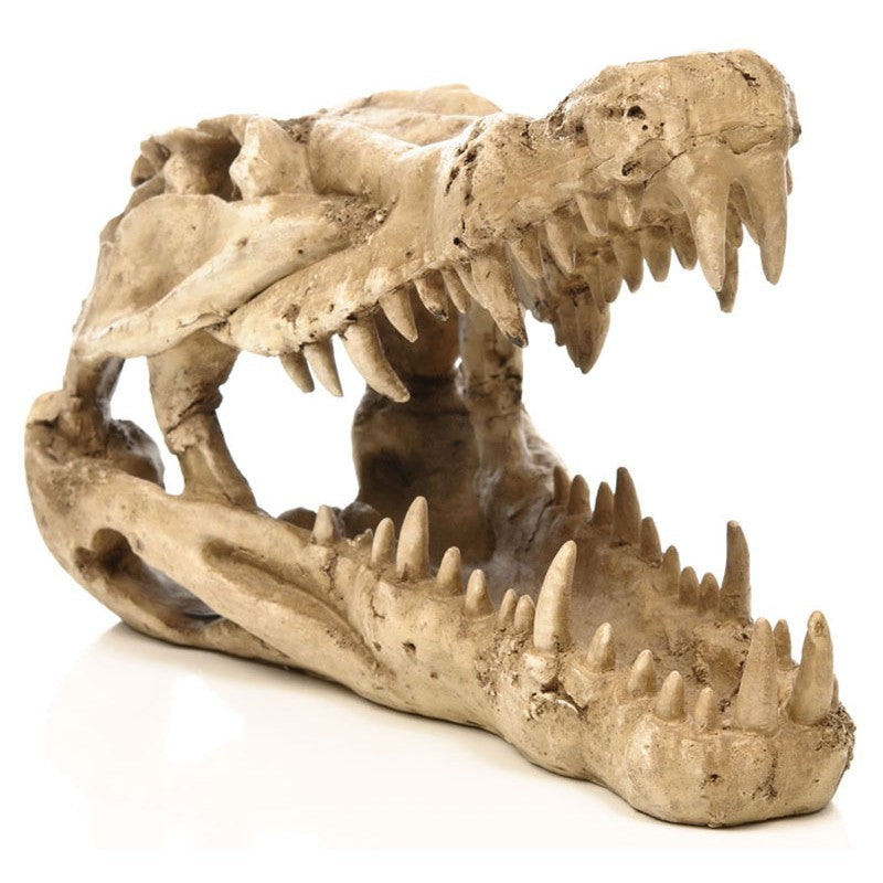 Penn-Plax Skull - Crocodile